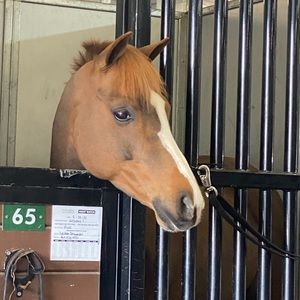 Meet your Posher, Janice